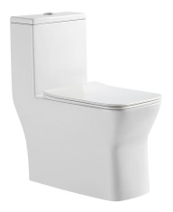 Напольный безободковый унитаз-моноблок Amore di Mare Averno M608